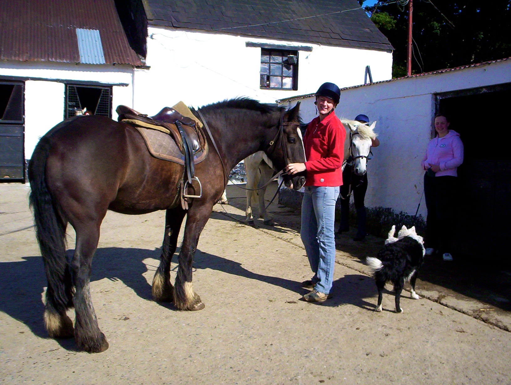 Killegar stables Kids Pony Club 1