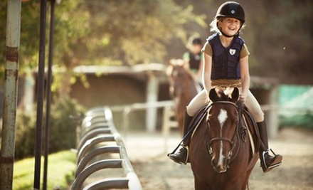 horse riding lessons dublin